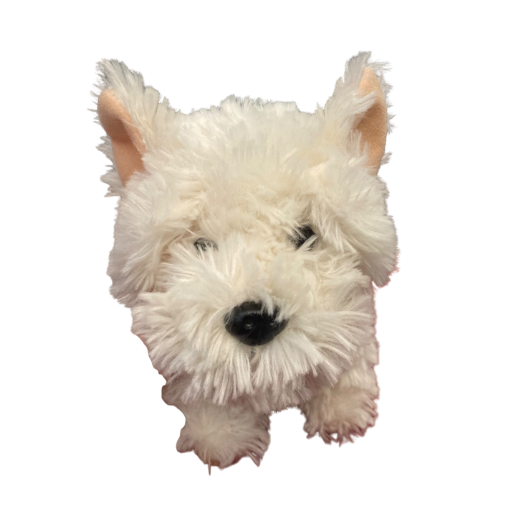 West Highland Terrier