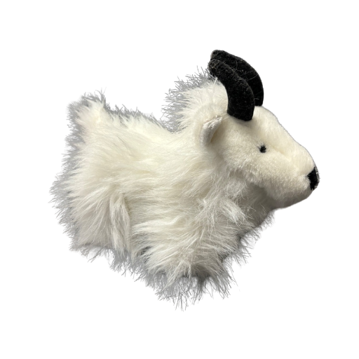 Mountain Goat