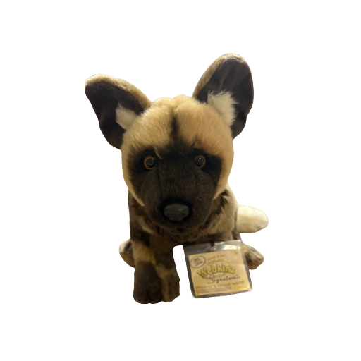 Signature African Wild Dog